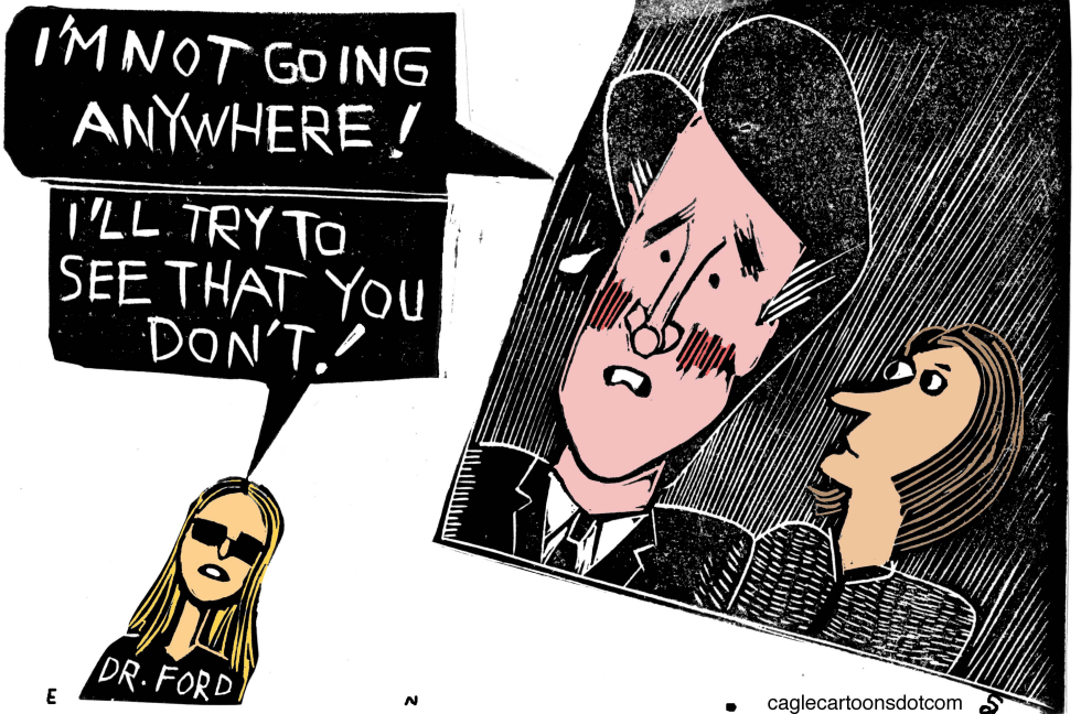 Kavanaugh On Fox