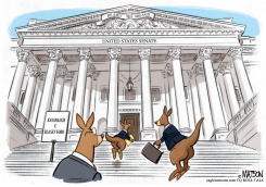 KAVANAUGH HEARING KANGAROO COURT by R.J. Matson