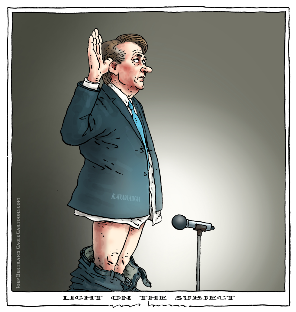  LIGHT ON THE SUBJECT by Joep Bertrams