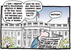WAITING FOR THE MIDTERMS by Ingrid Rice