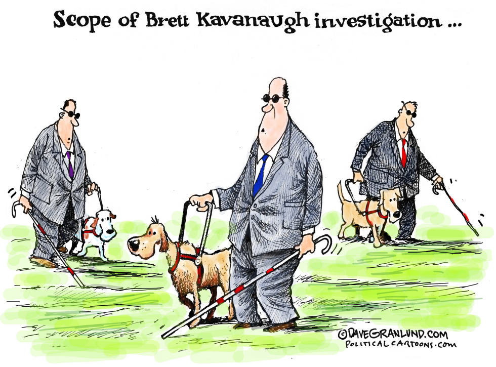 Limited probe of Kavanaugh