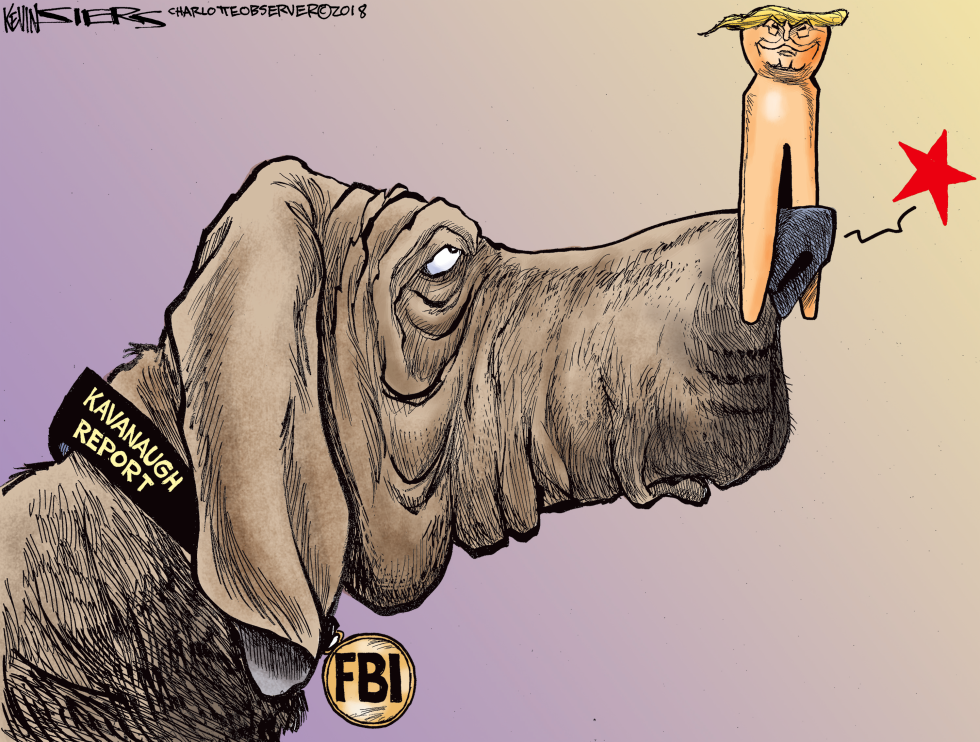 Kavanaugh Investigation