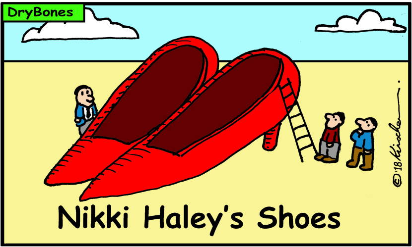 Nikki Haley's Shoes