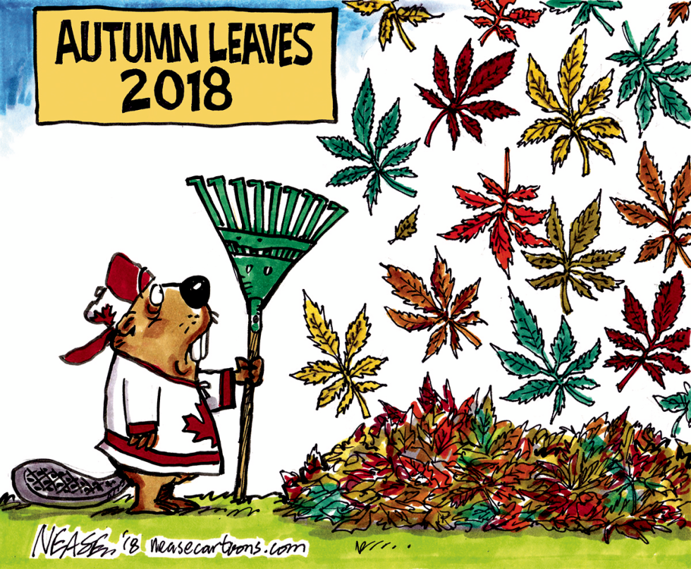 Fall Leaves