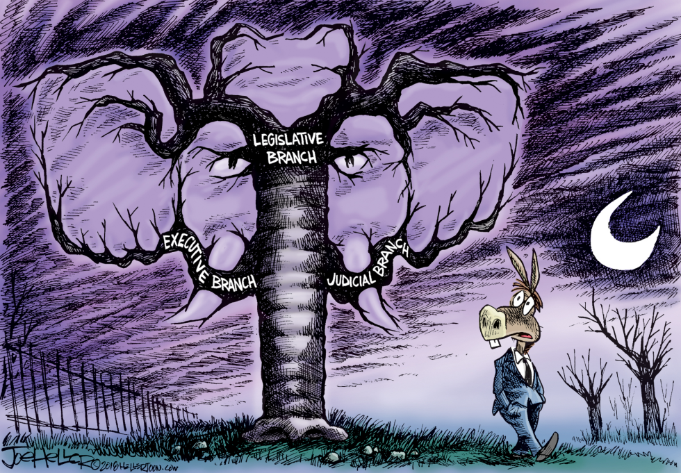 Government Branches