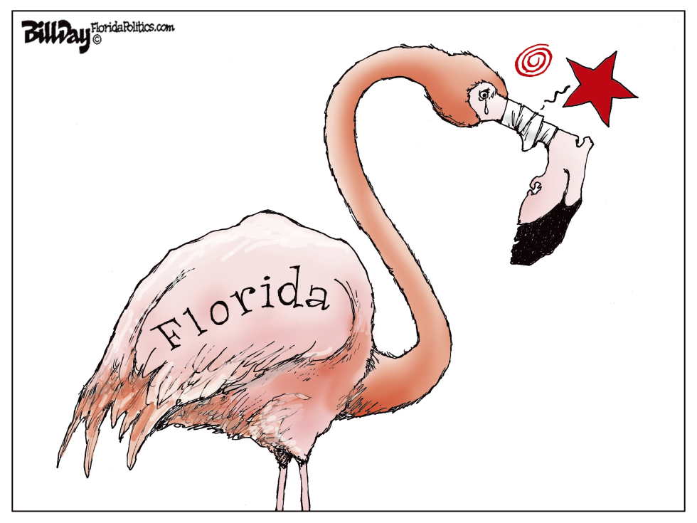  FLORIDA FLAMINGO by Bill Day