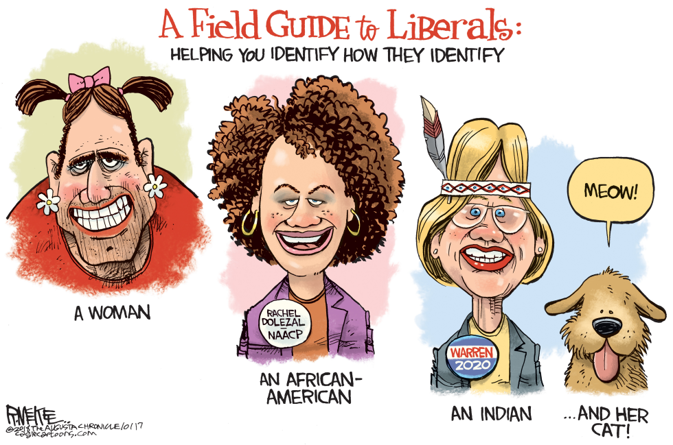  LIBERAL FIELD GUIDE by Rick McKee