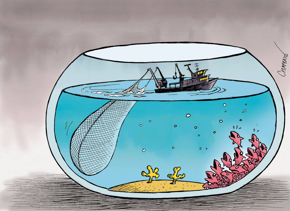  OVER-FISHING by Patrick Chappatte