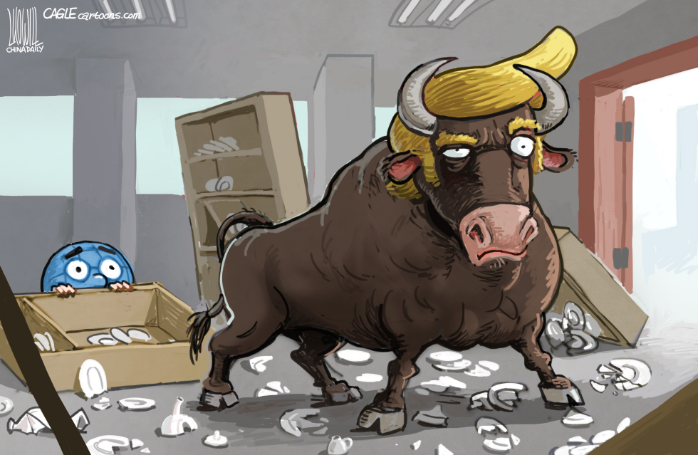 Bull in china shop
