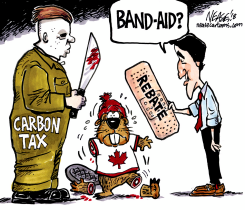 BANDAID by Steve Nease