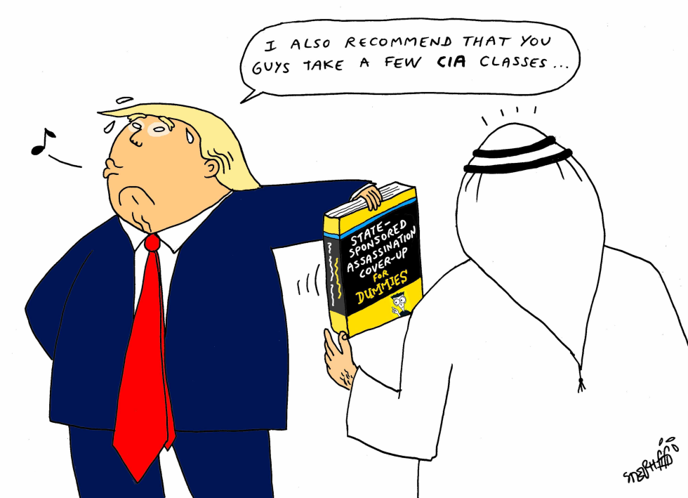 Saudi Arabia needs CIA classes