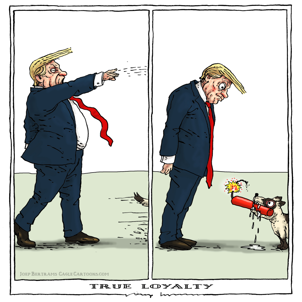  TRUE LOYALTY by Joep Bertrams