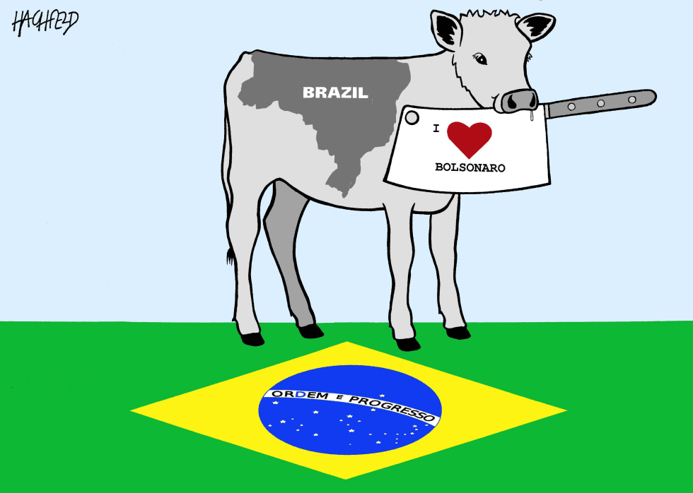 Election in Brazil
