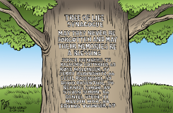 TREE OF LIFE by Bruce Plante