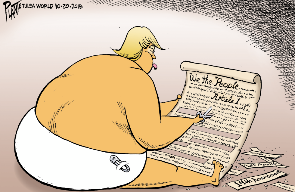 Trump and the Constitution