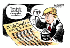BIRTHRIGHT CITIZENSHIP  by Jimmy Margulies