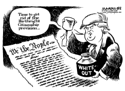 BIRTHRIGHT CITIZENSHIP by Jimmy Margulies