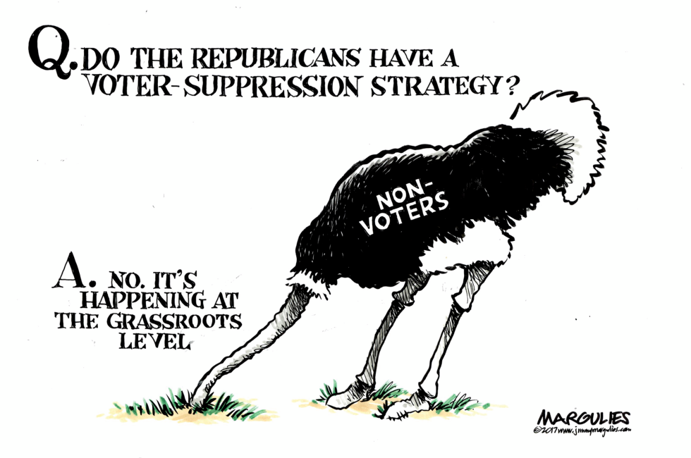 Non-voters color