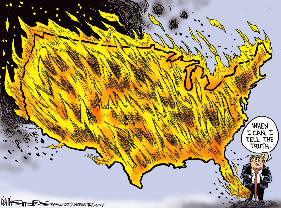 Trump's Midterm Truths