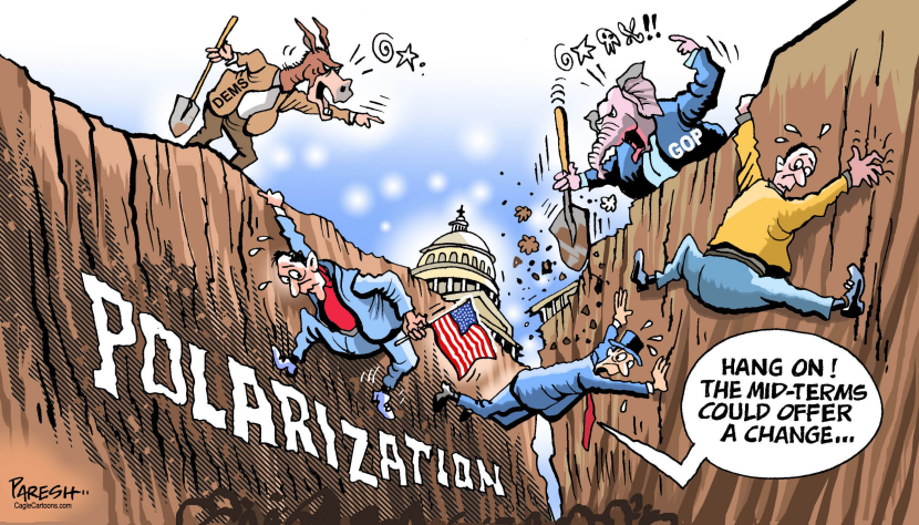 US Mid-term polls