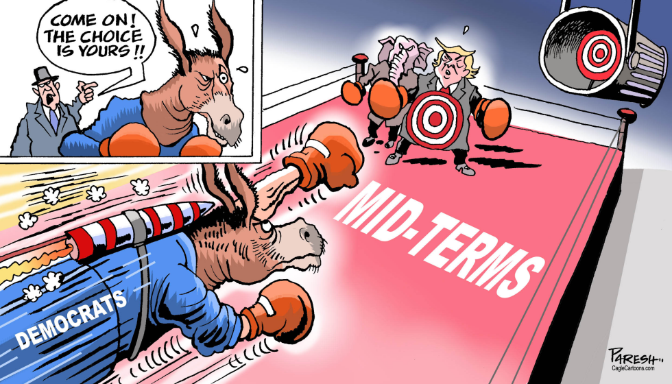  DEMOCRATS IN MID-TERMS by Paresh Nath