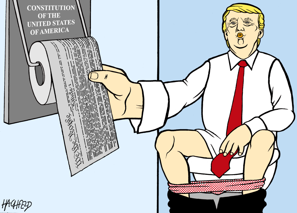 Trump and the constitution