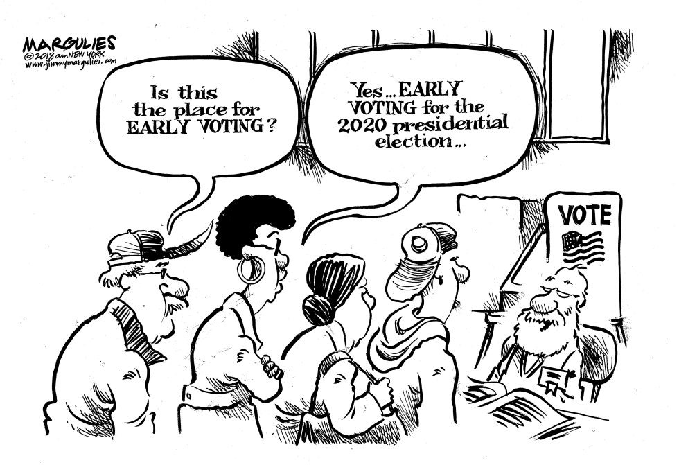 2018 Midterm voting