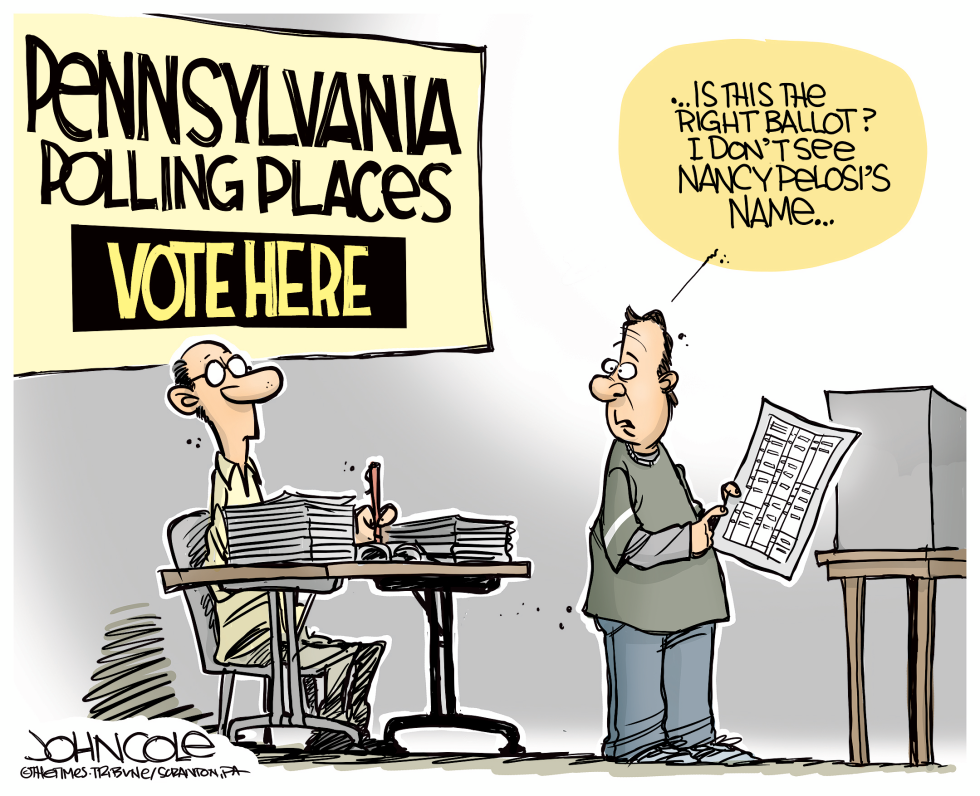 LOCAL PA Nancy Pelosi on the ballot