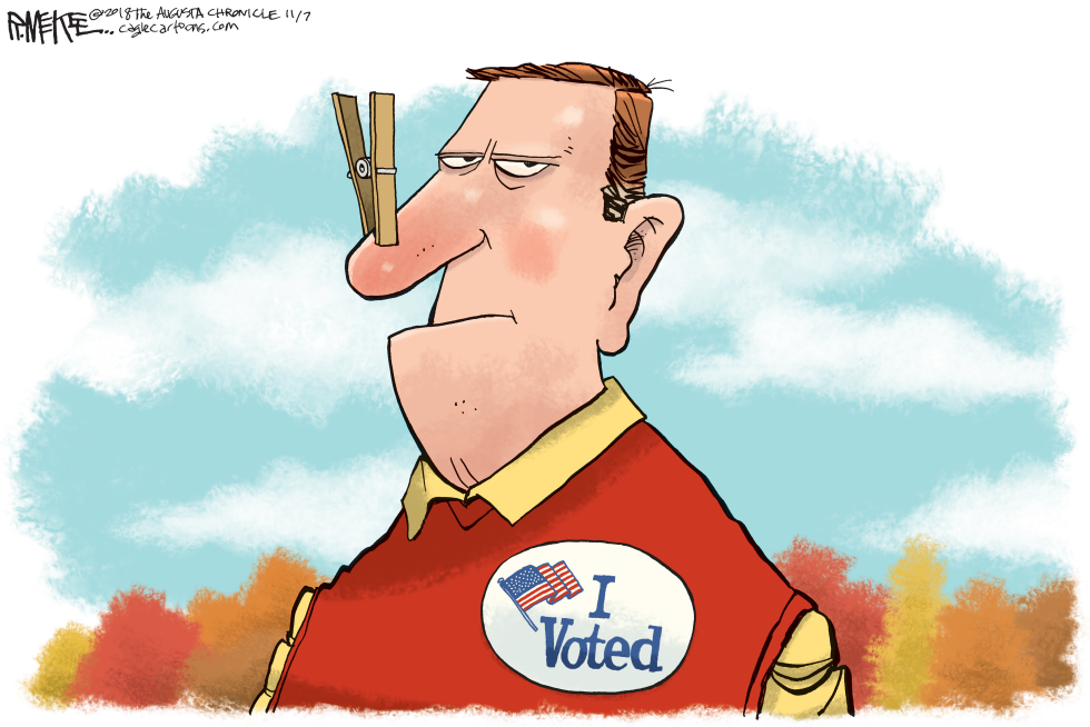 I Voted