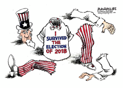 2018 ELECTION RESULTS  by Jimmy Margulies