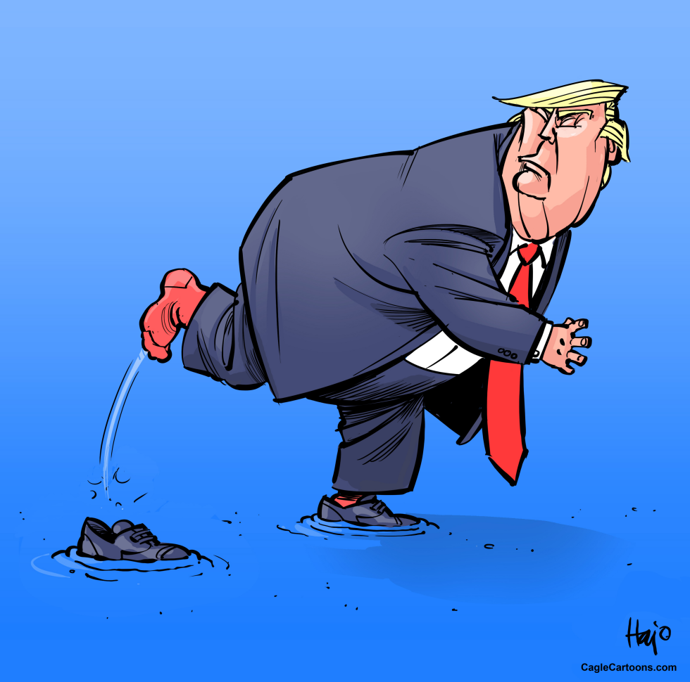 Trump mired in blue concrete after midterm results