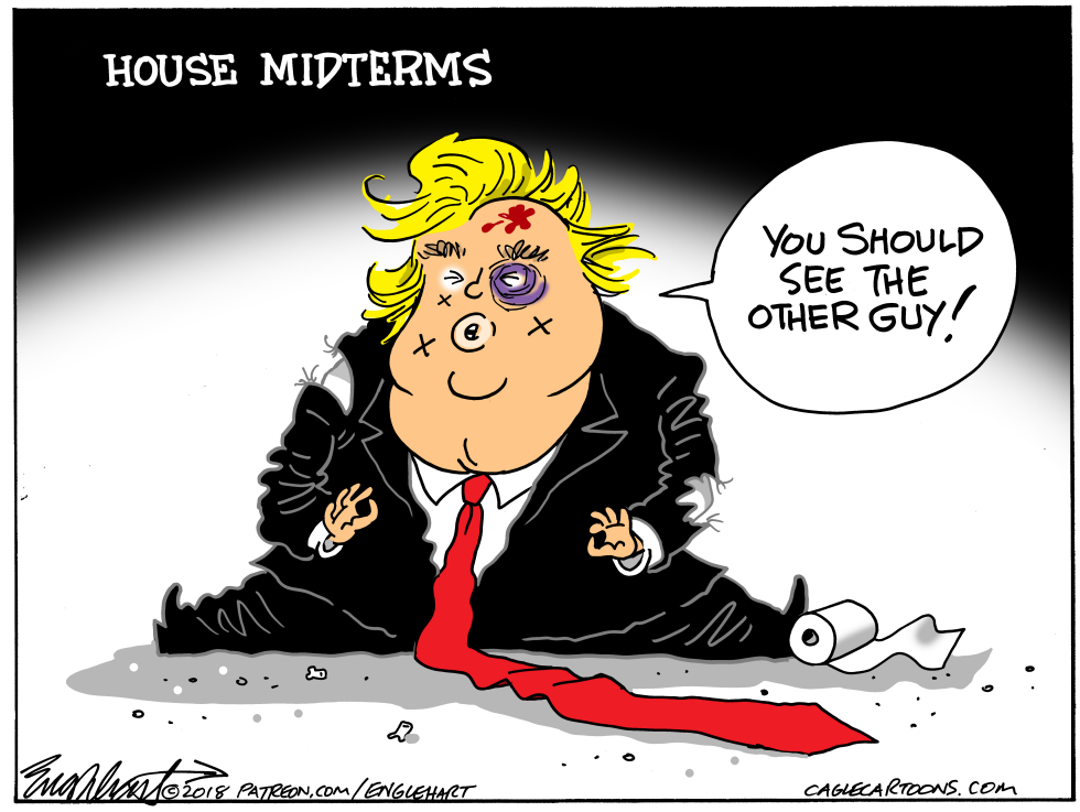  MIDTERMS by Bob Englehart