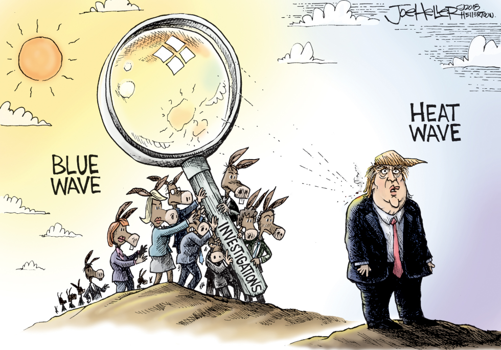 Election Results