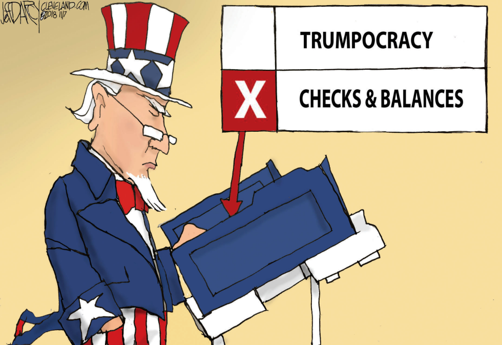 Midterm Election Results