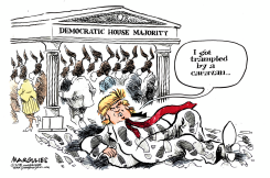 DEMOCRATS WIN HOUSE by Jimmy Margulies