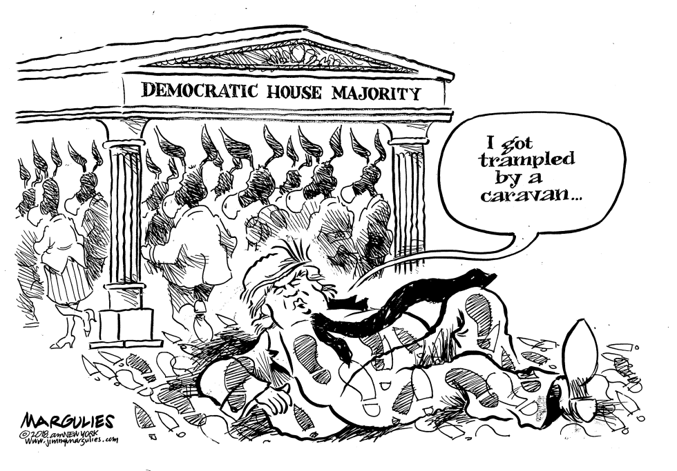 Democrats win House