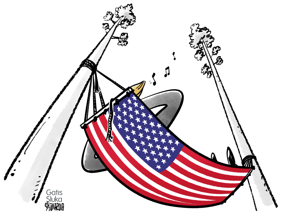 After the US midterm elections