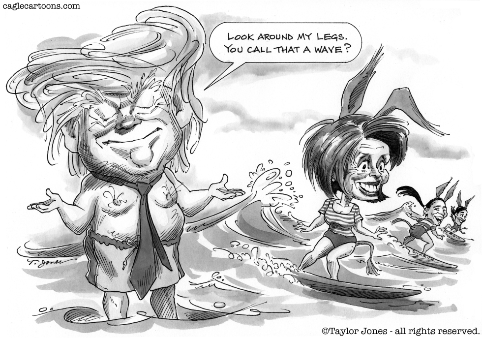 Trump and Pelosi - Surf's Up