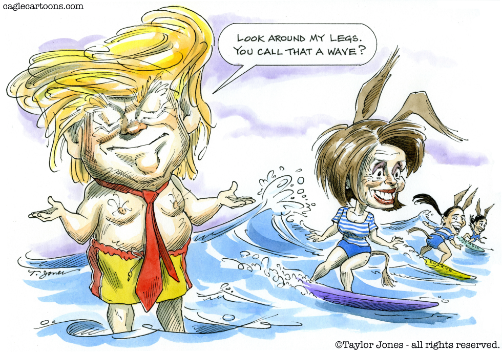Trump and Pelosi - Surf's Up - COLOR