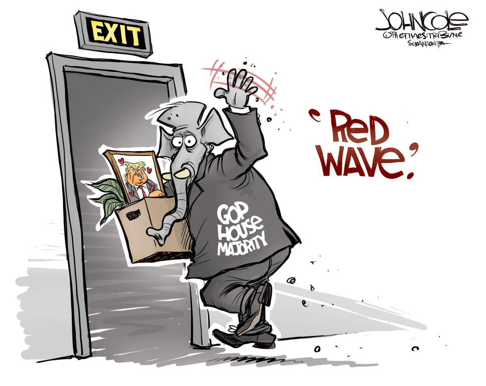  THE RED WAVE by John Cole