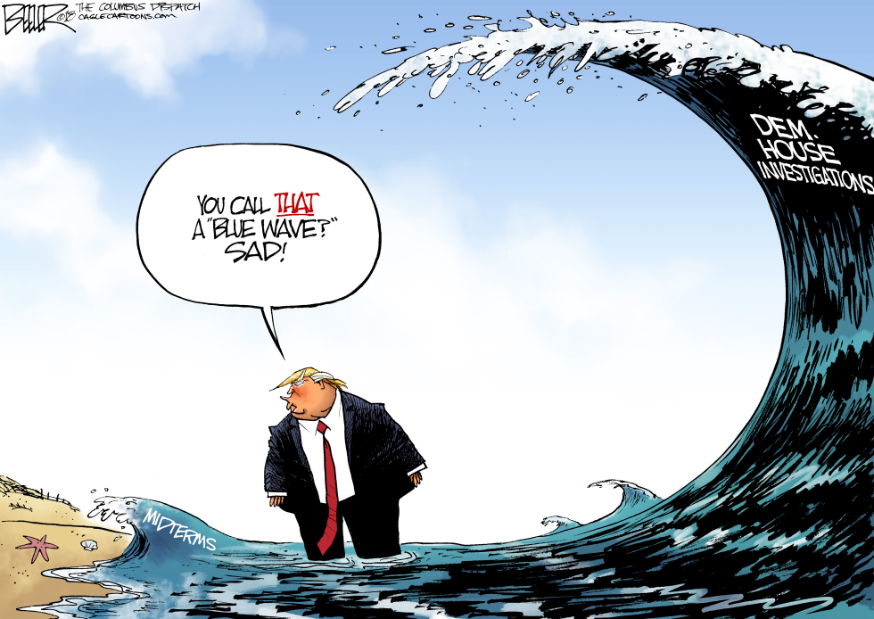 Trump downplays Democratic House gains after midterms