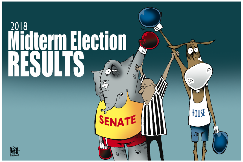 MIDTERM ELECTIONS 2018