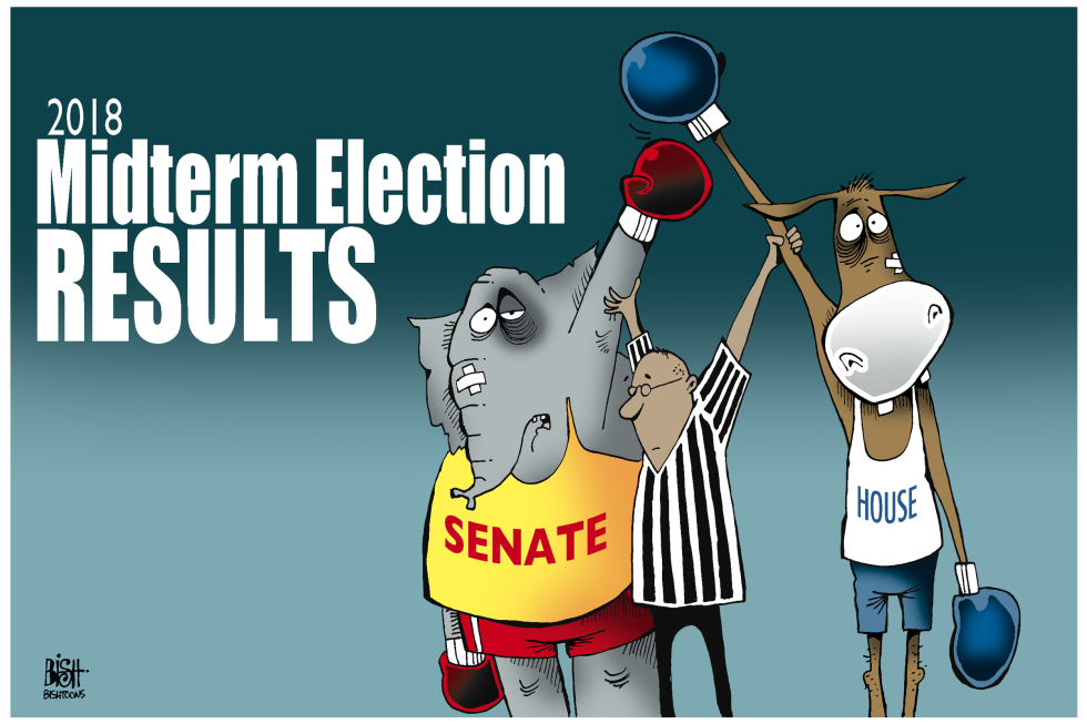 MIDTERM ELECTIONS 2018