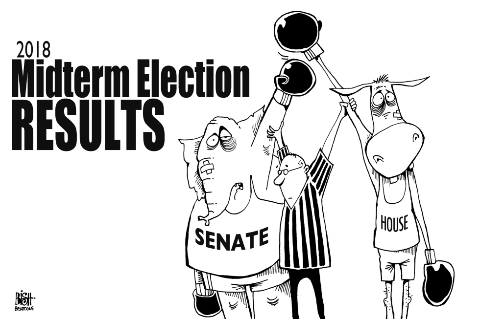 MIDETERM ELECTIONS