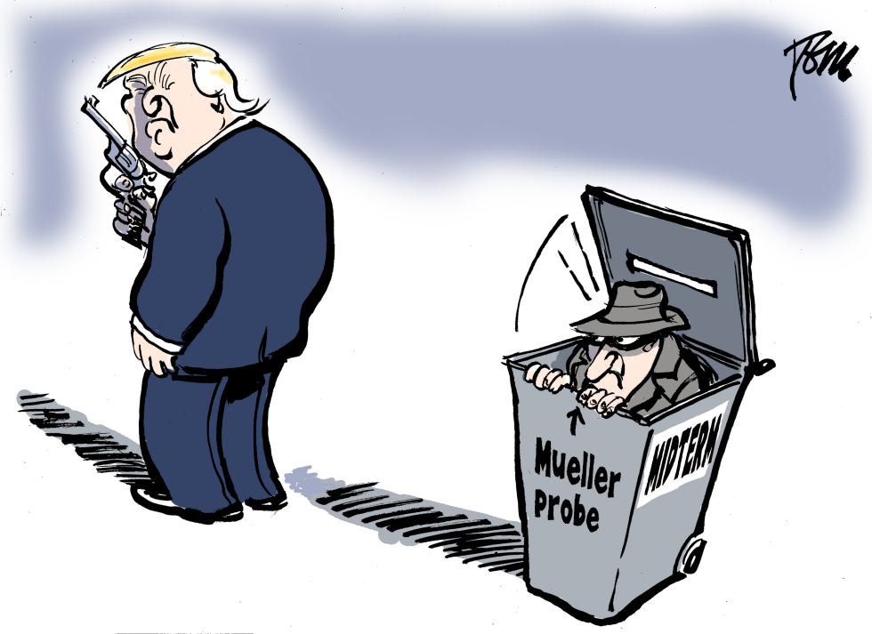 Trump after midterms