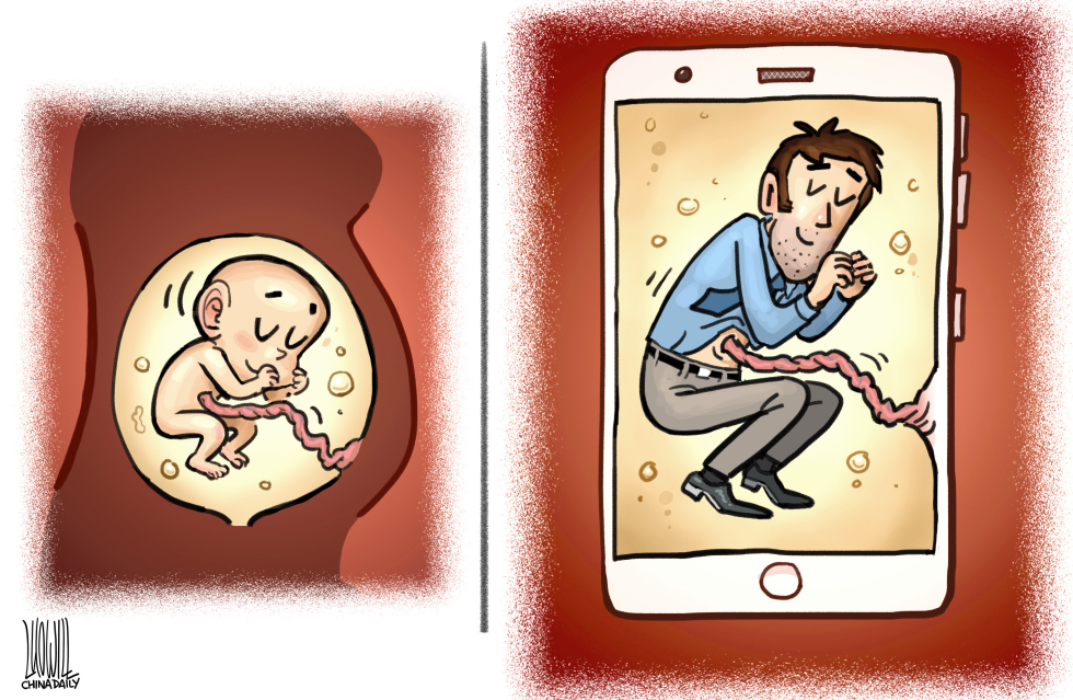Social Media Fetus