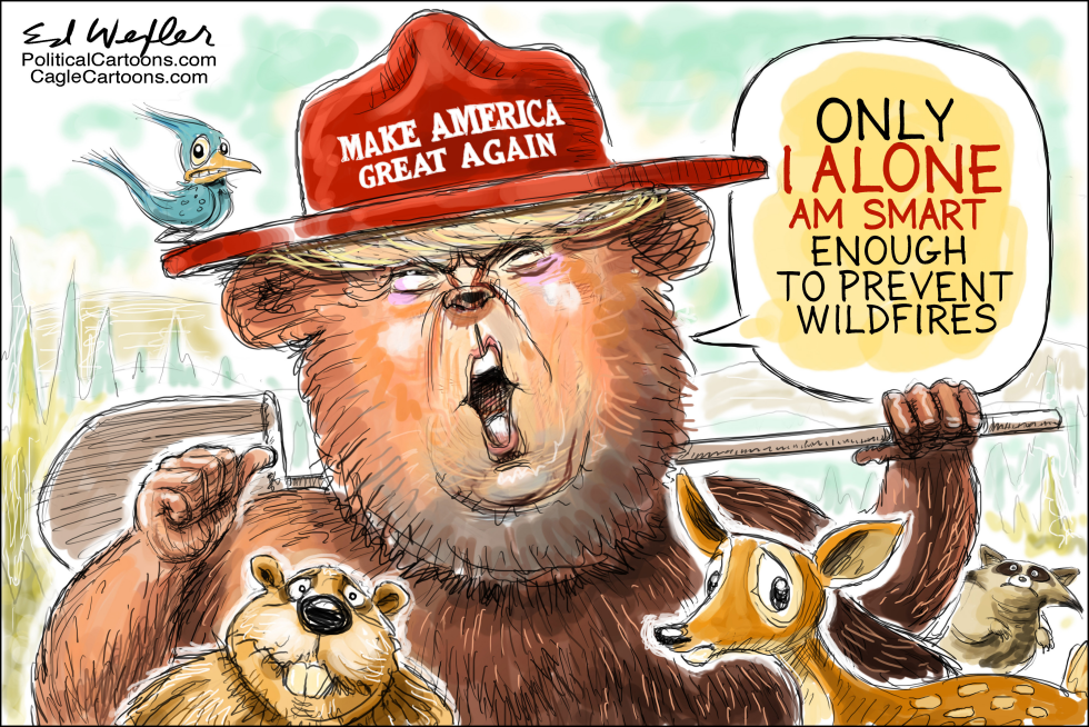 Trump Smokey Bear