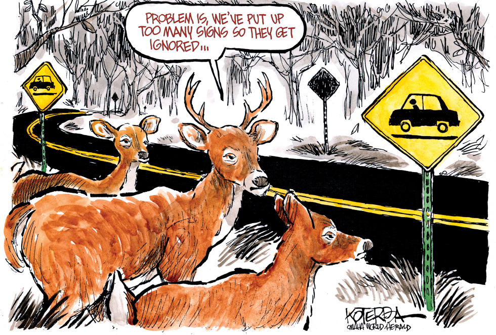  DEER IN THE HEADLIGHTS by Jeff Koterba