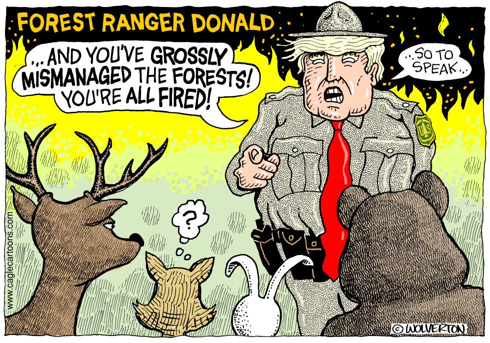 Forest Ranger Trump