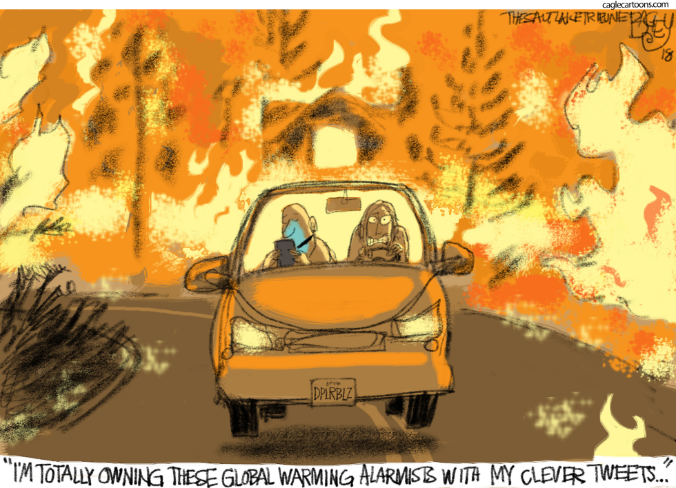  CALIFORNIA FIRES by Pat Bagley